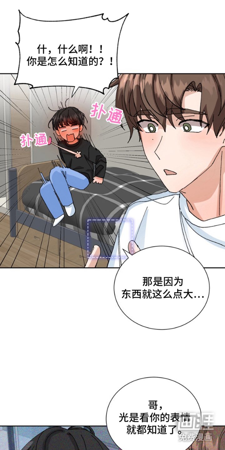 第12章：保险