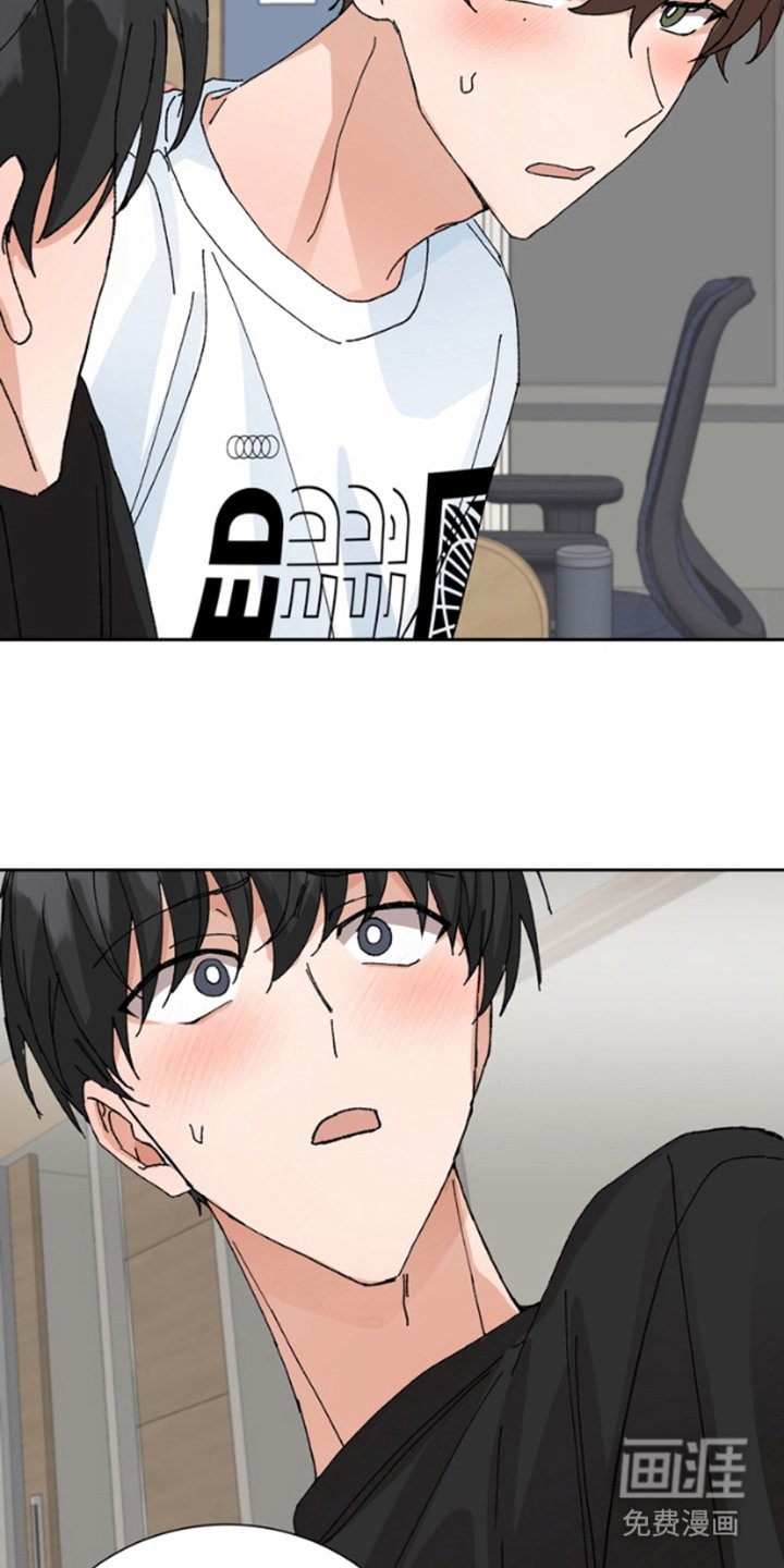 第12章：保险