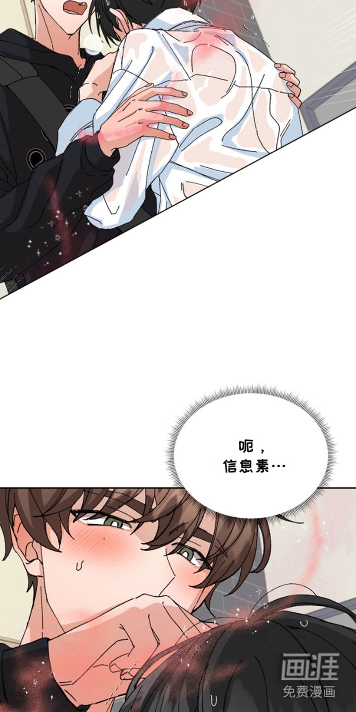 第15章：混乱