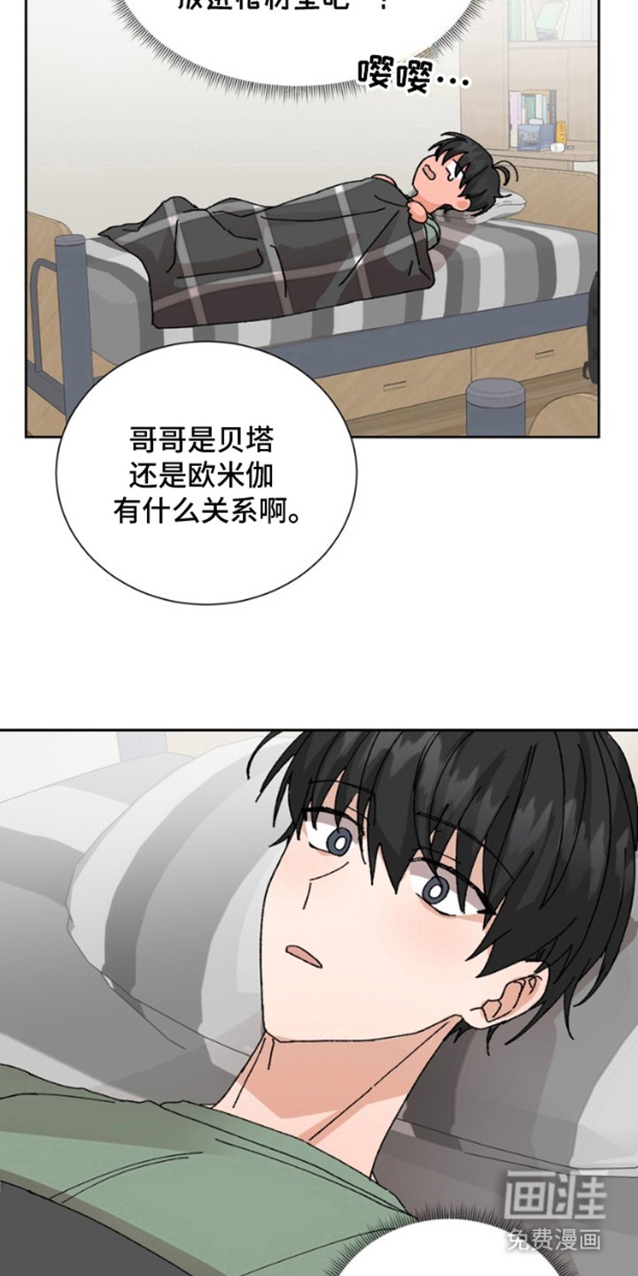 第16章：说谎