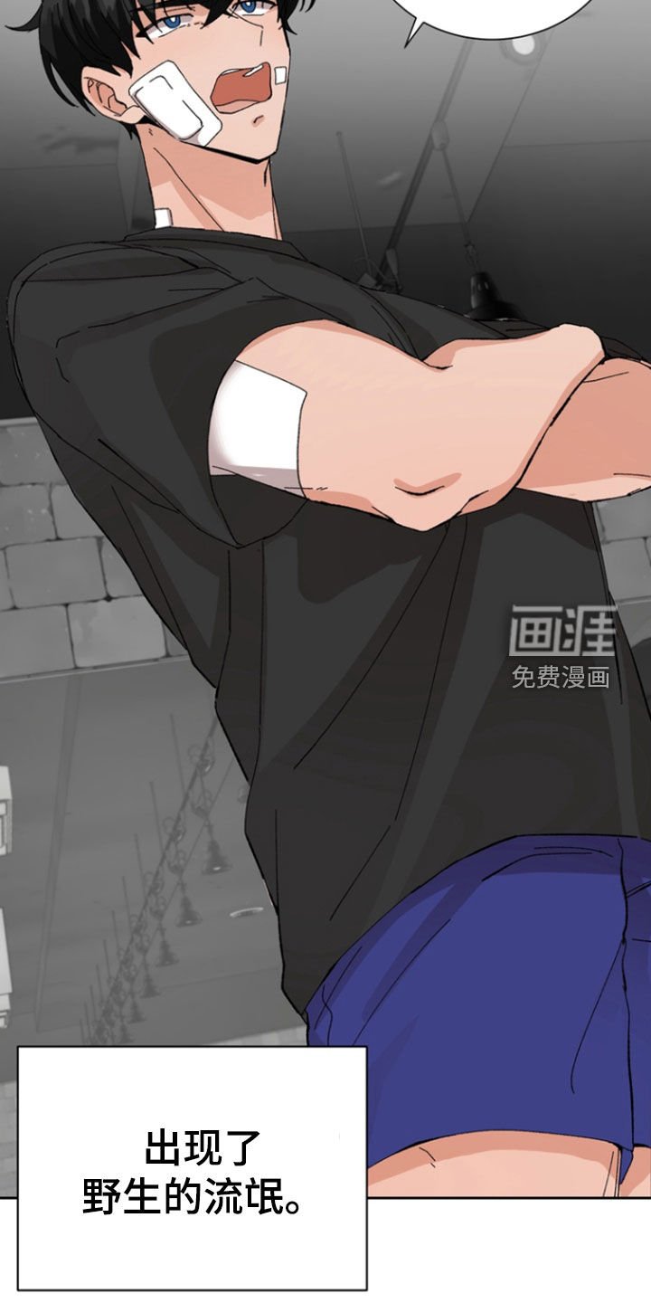 第22章：锻炼