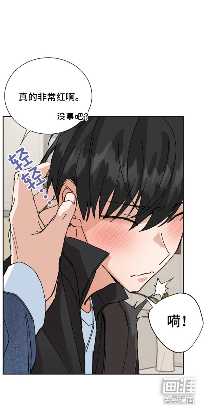 第4章：婚姻登记