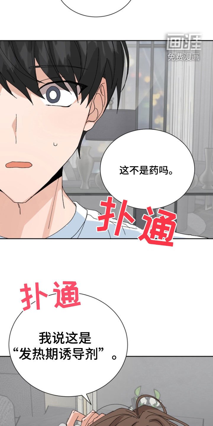 第42章：巧克力