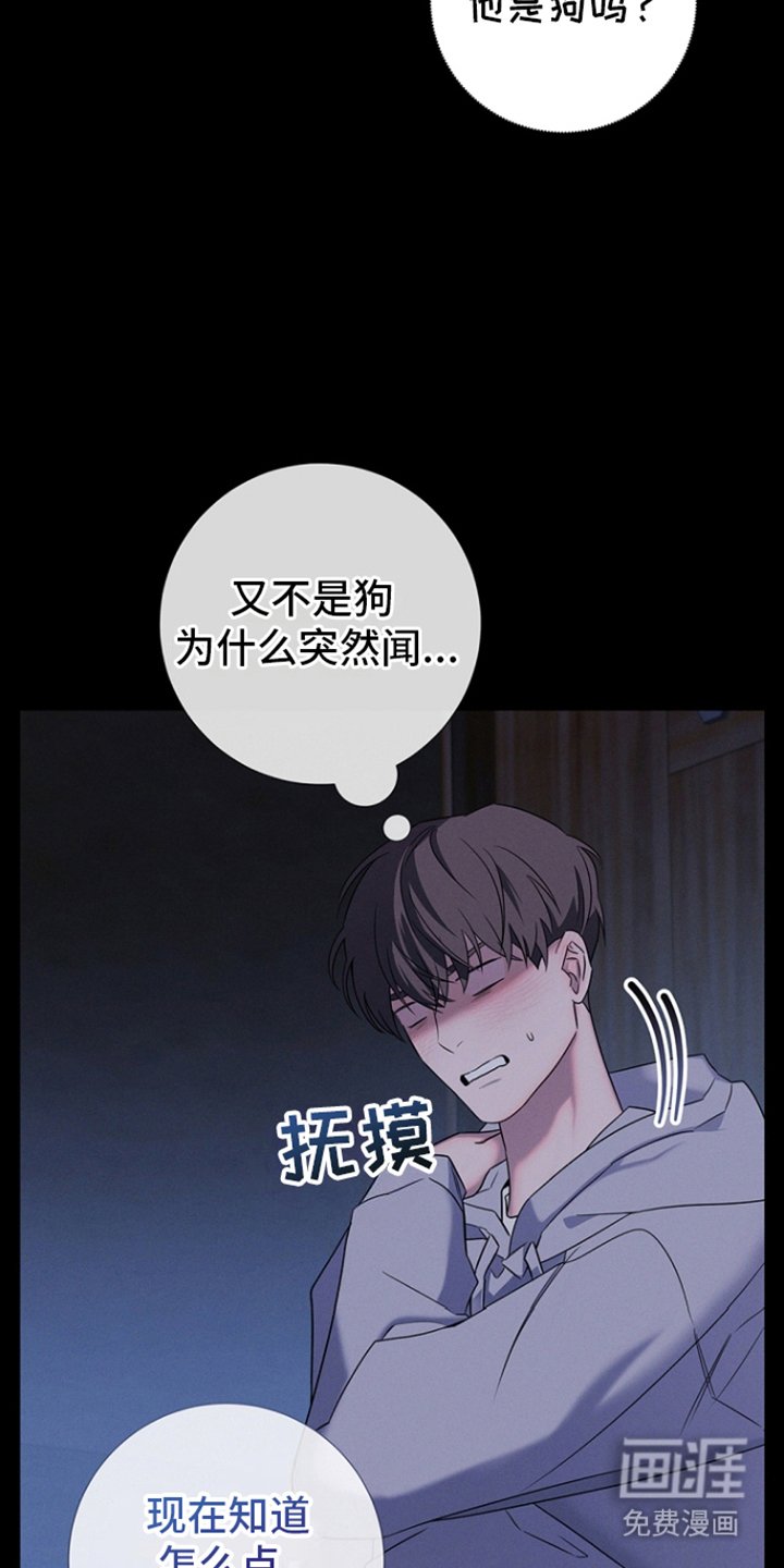 第11章：点燃打火机