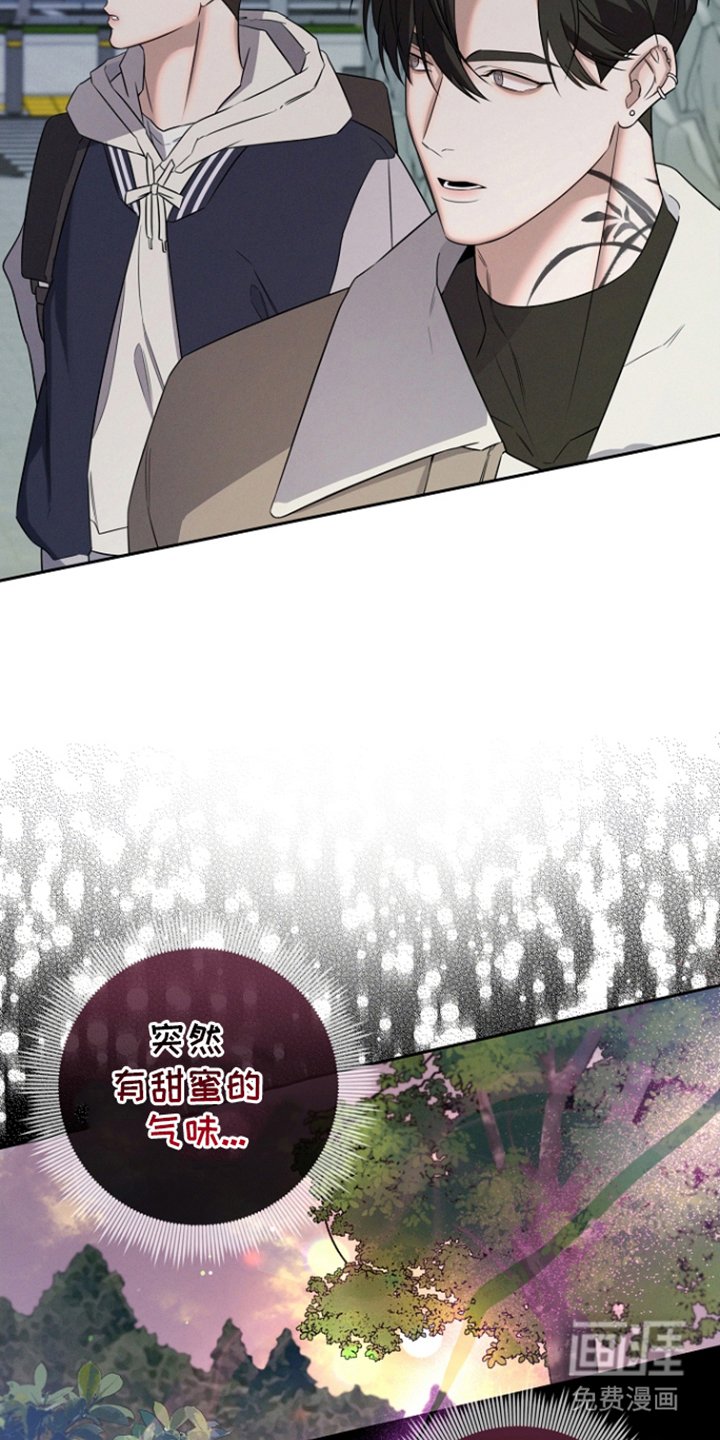 第14章：怪味