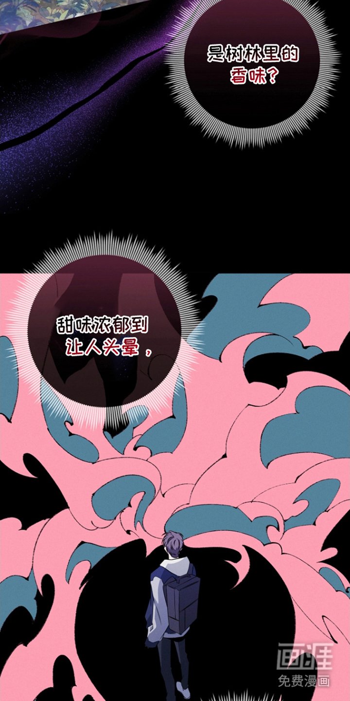 第14章：怪味