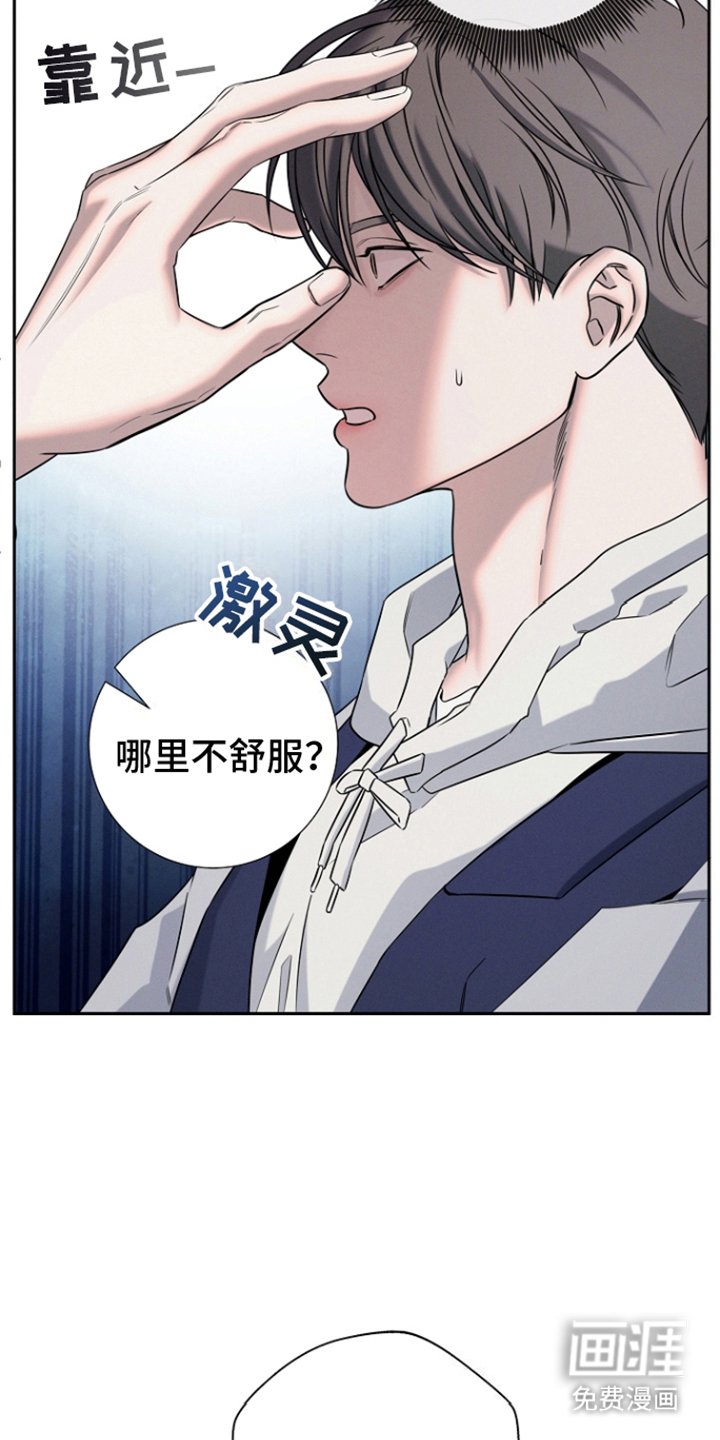 第14章：怪味