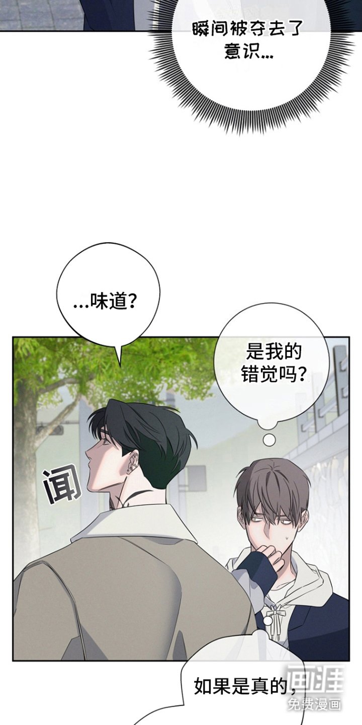 第14章：怪味
