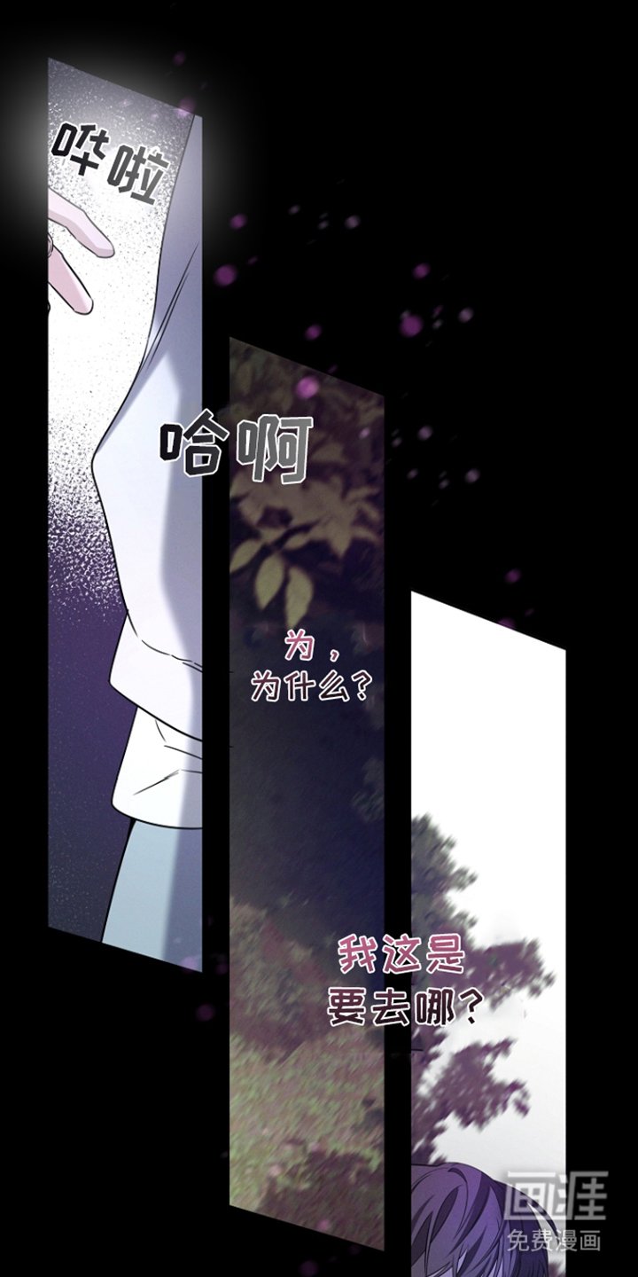 第16章：恐惧诅咒
