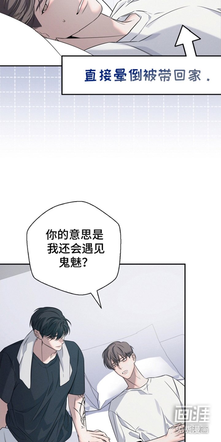 第17章：花