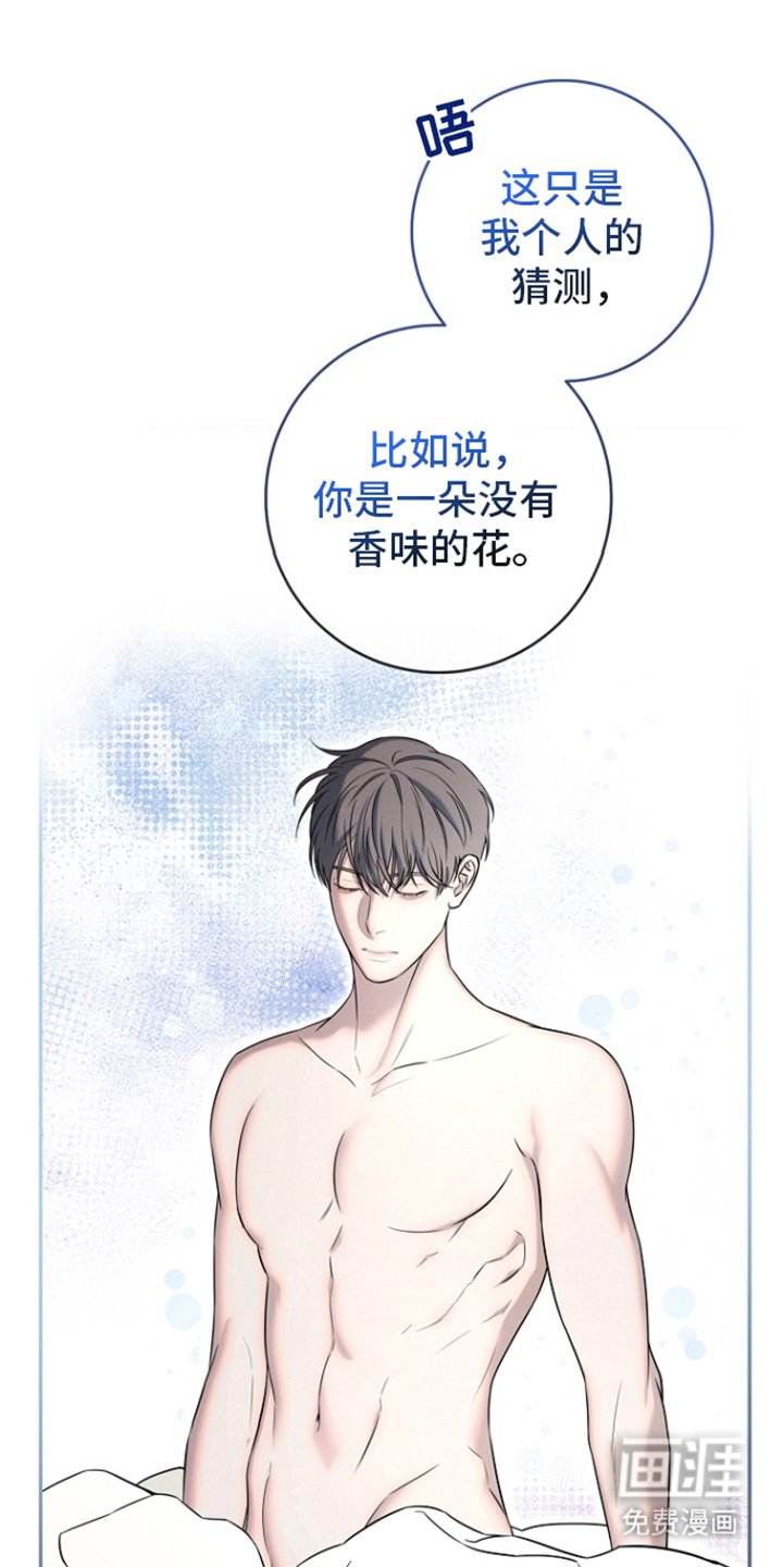 第17章：花