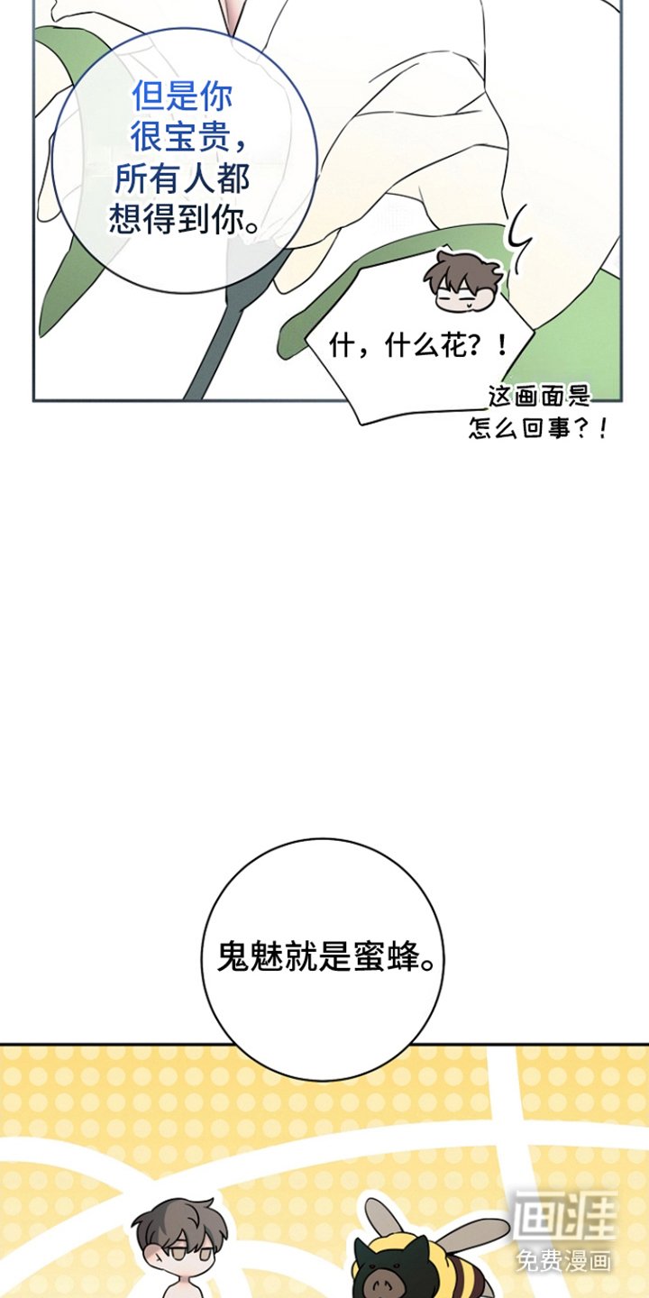 第17章：花