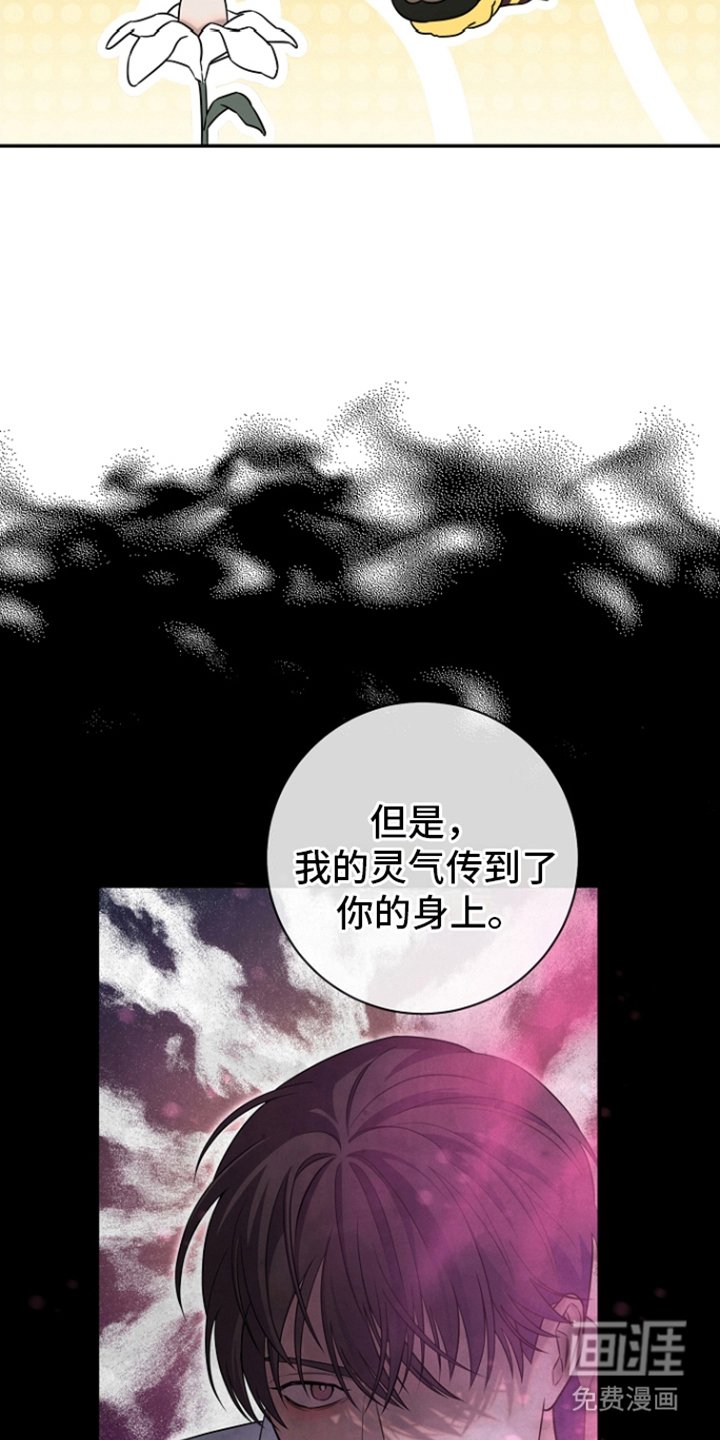 第17章：花