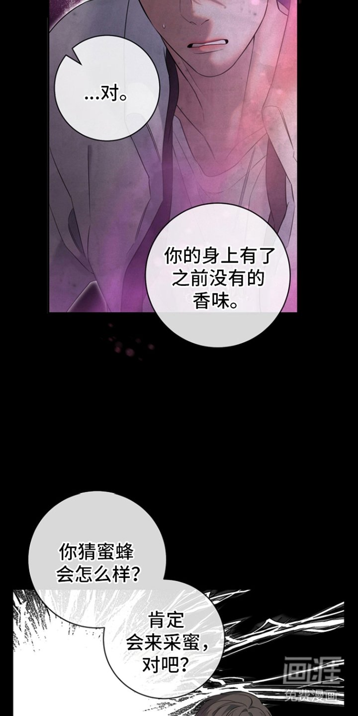 第17章：花