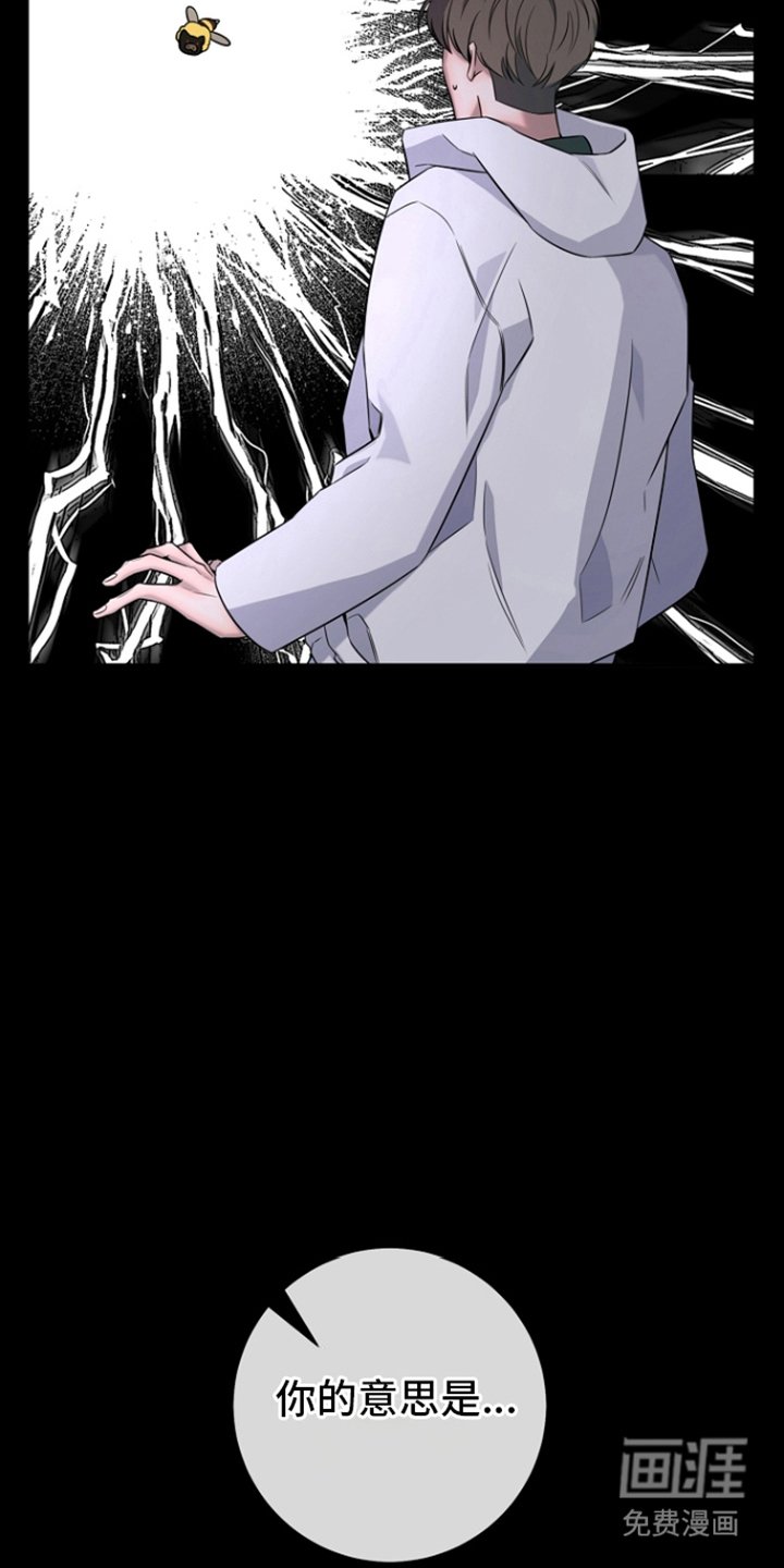 第17章：花
