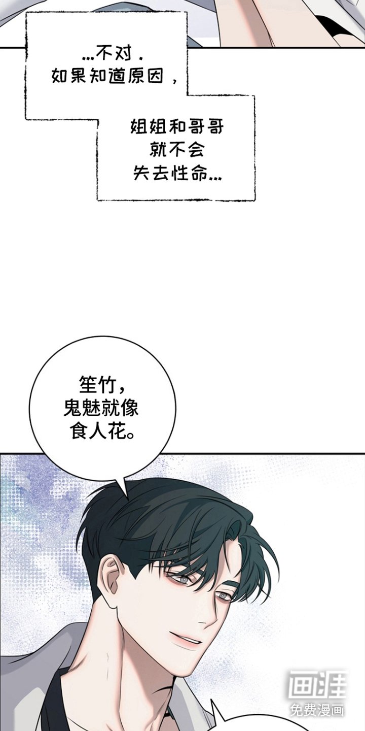 第17章：花