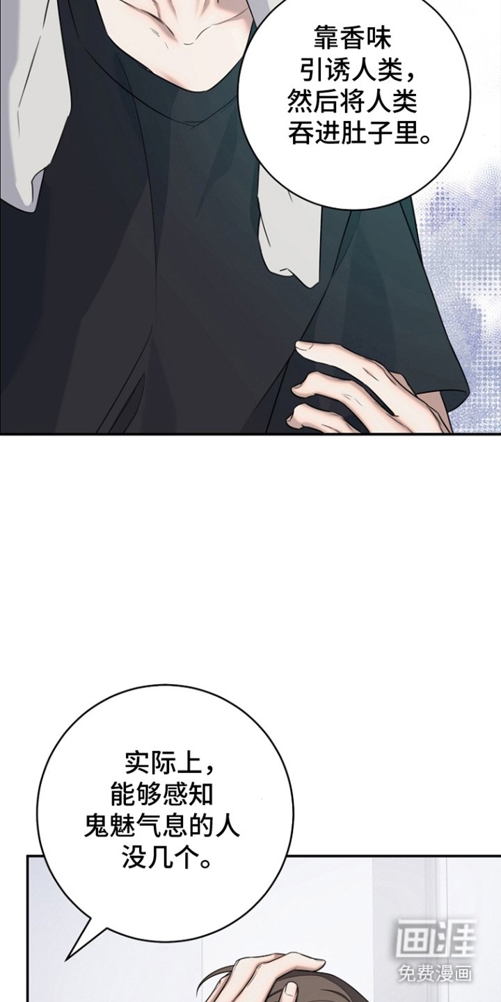 第17章：花