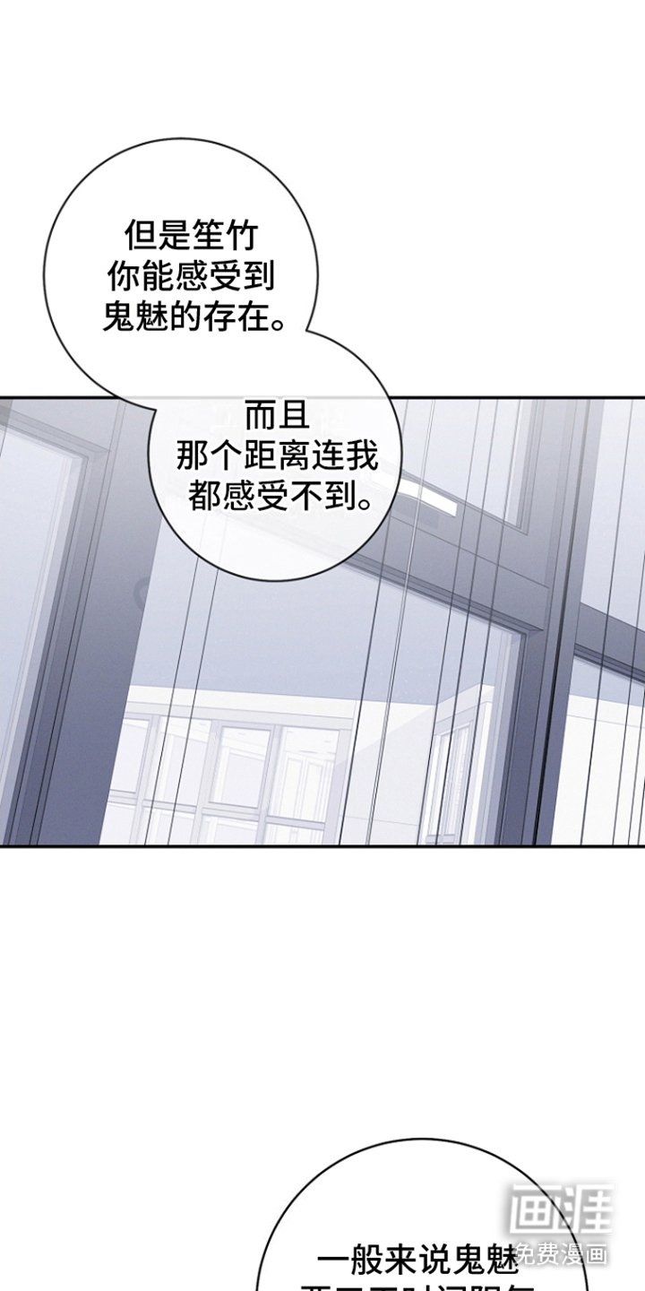第17章：花