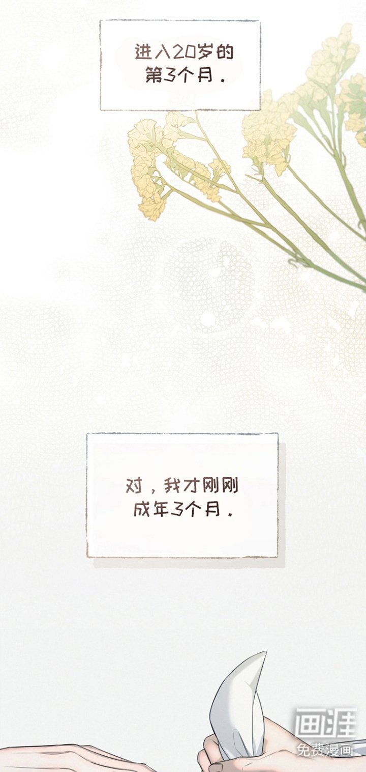 第2章：成年
