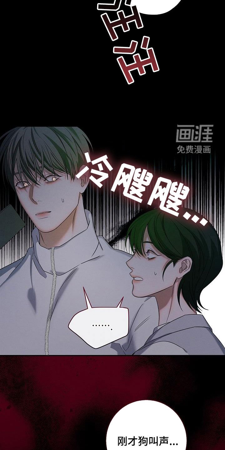 第37章：失踪