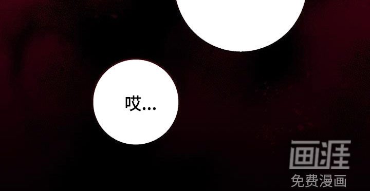 第37章：失踪