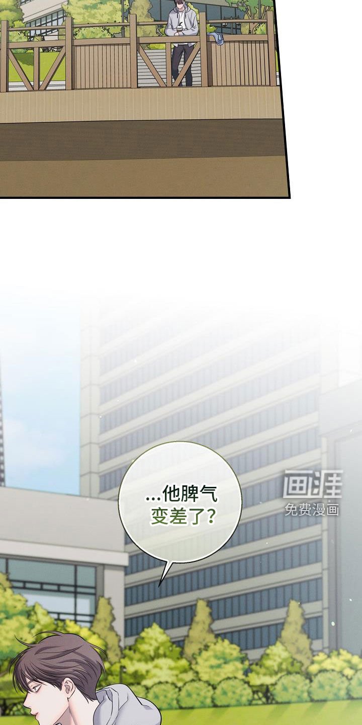 第48章：有喜欢的人