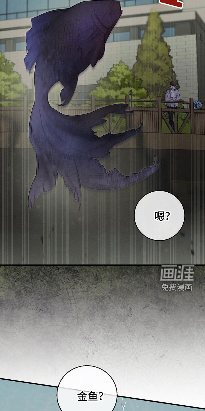 第48章：有喜欢的人