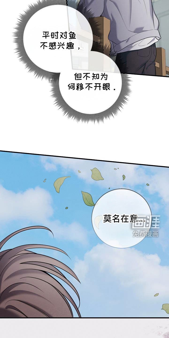 第48章：有喜欢的人