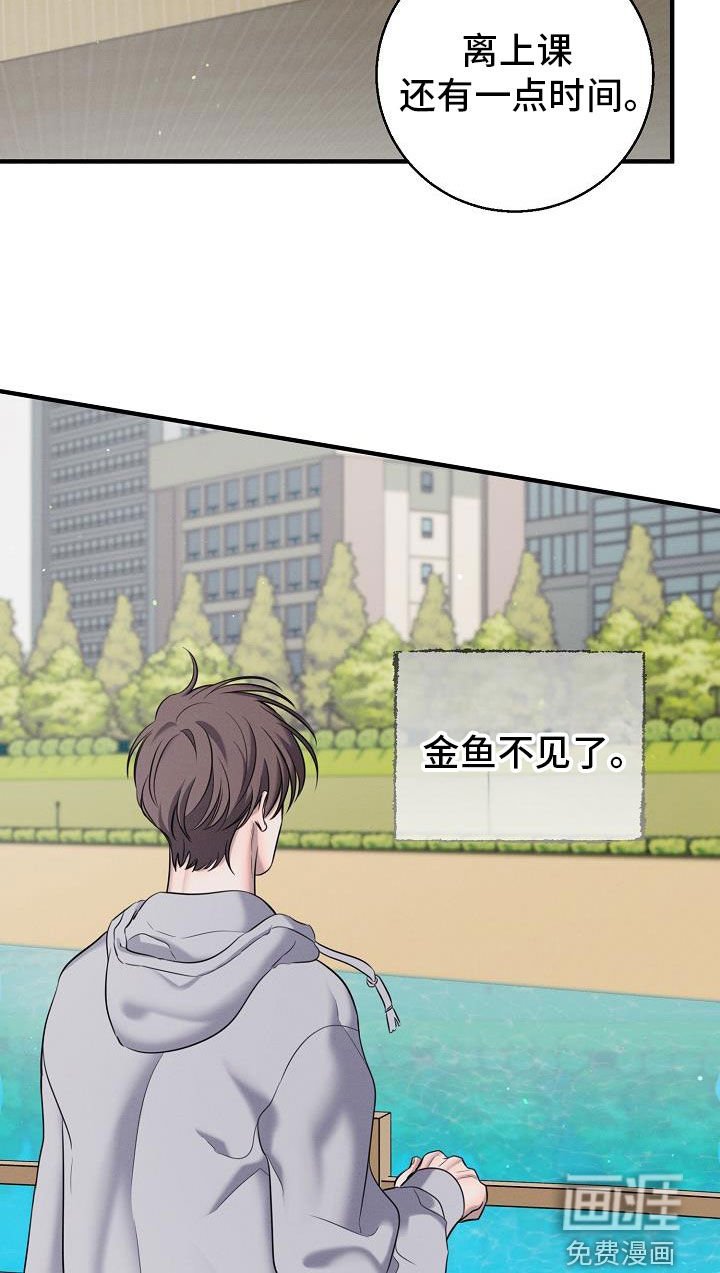 第48章：有喜欢的人