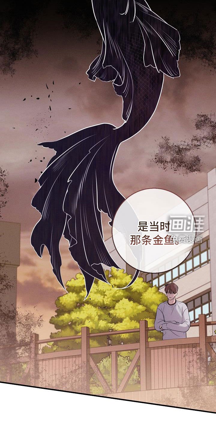 第50章：完蛋了