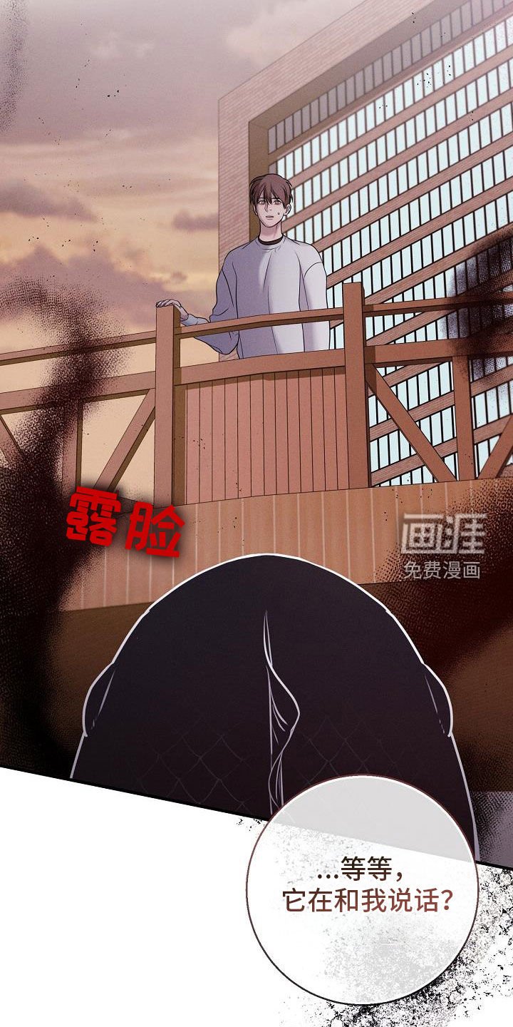第50章：完蛋了