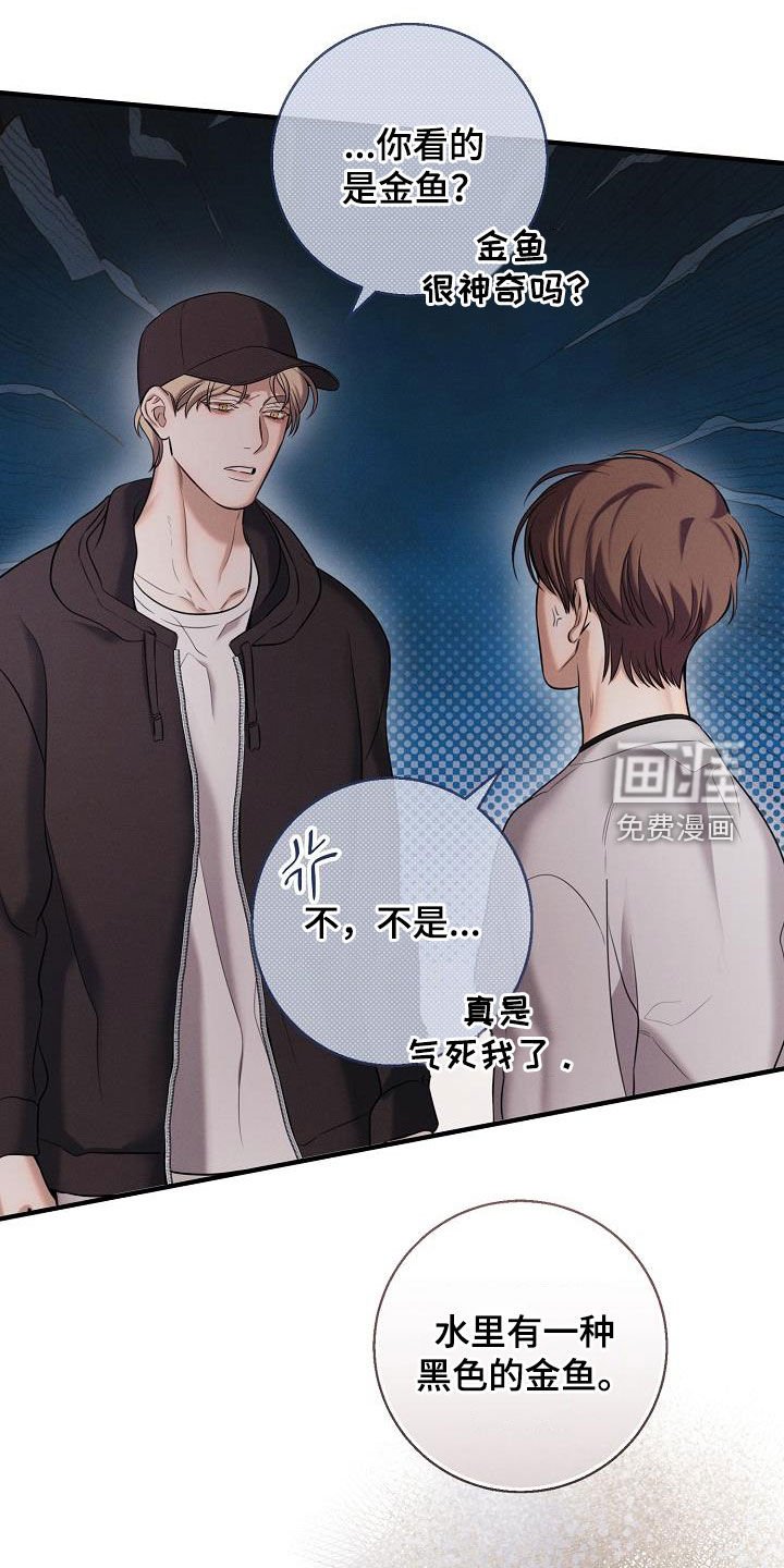 第51章：无所谓