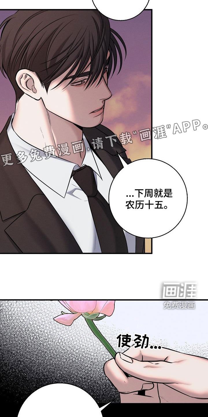 第55章：农历十五