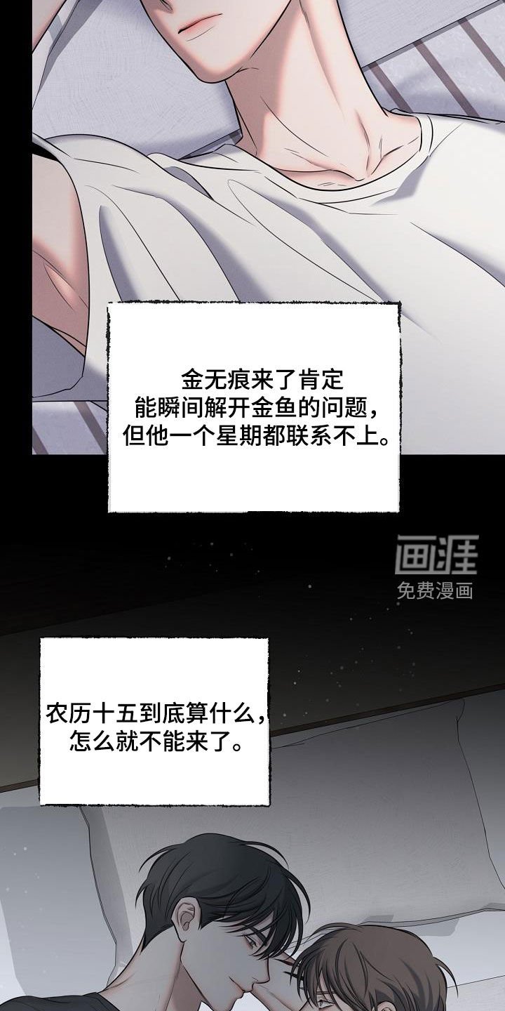 第55章：农历十五