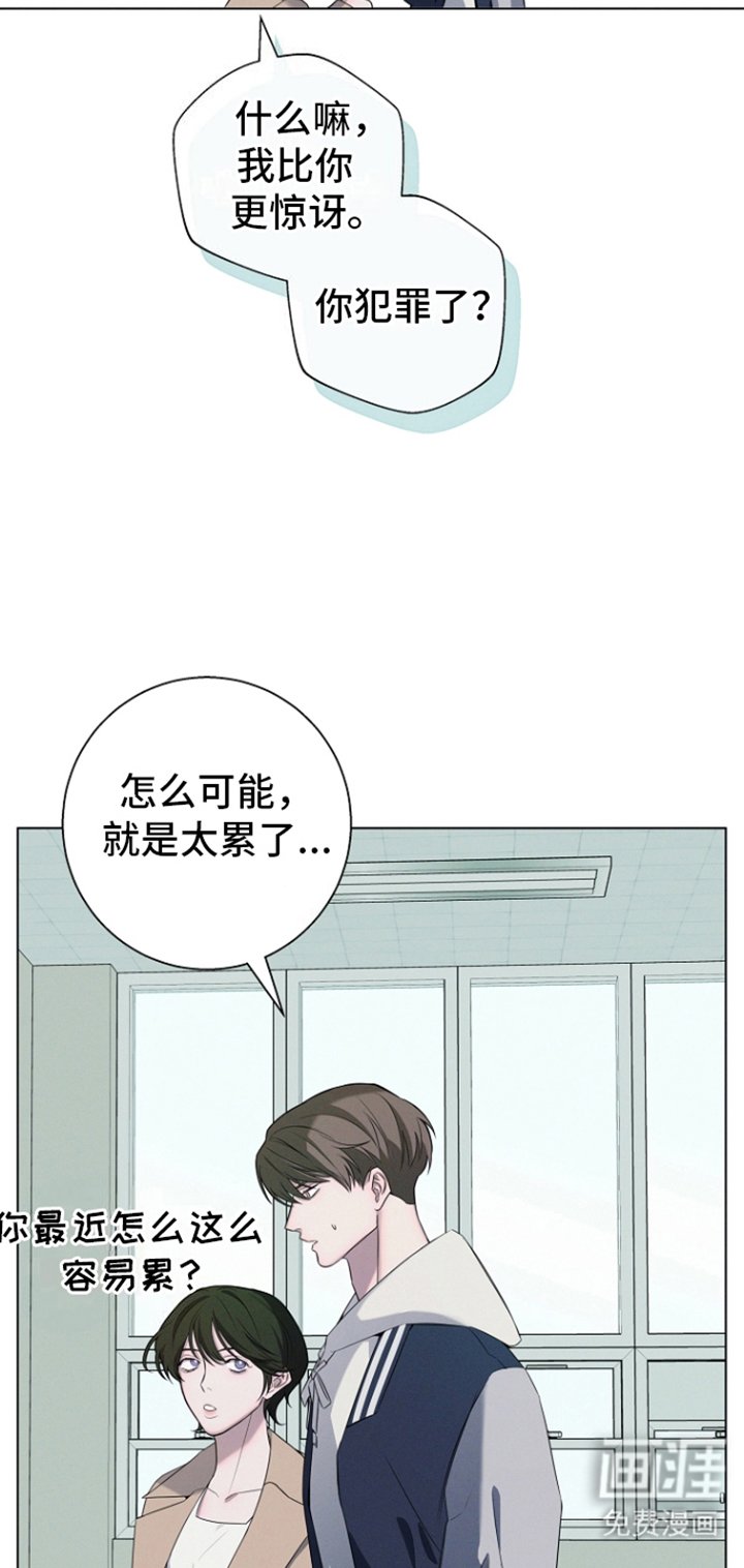 第7章：护身符