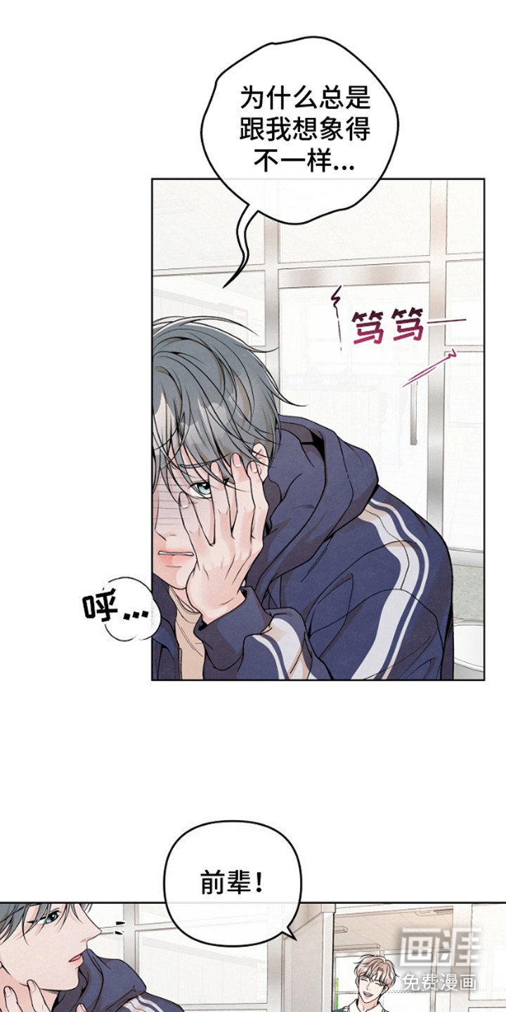 第13章：没有效果