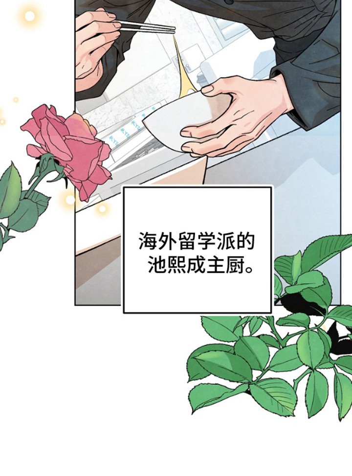 第13章：没有效果