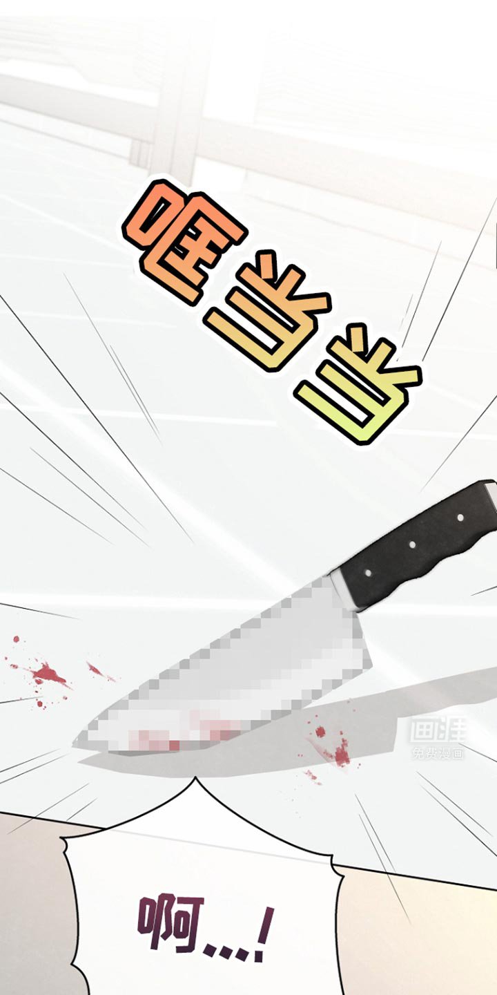 第17章：开始拍摄
