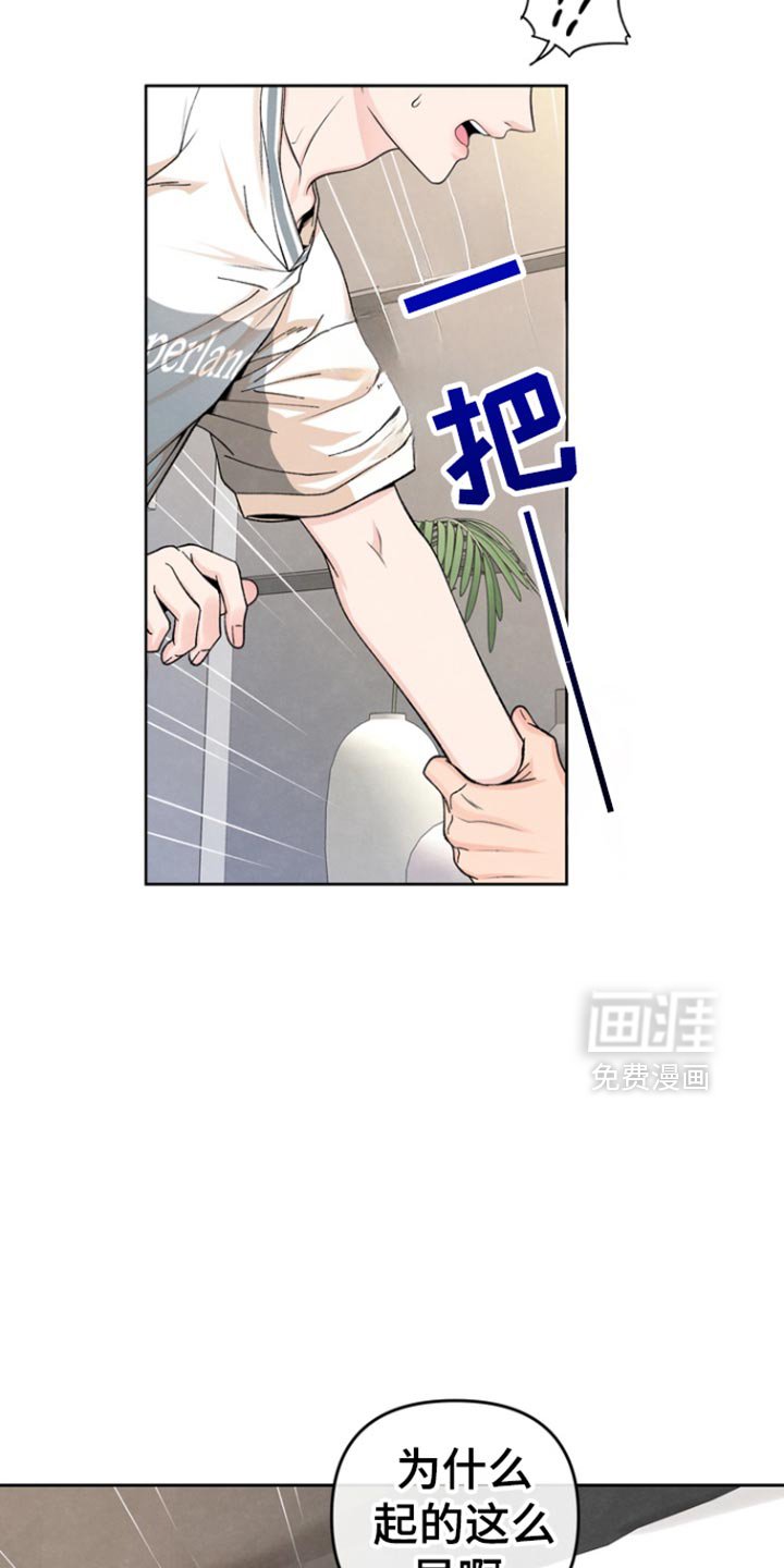 第43章：产生了爱意