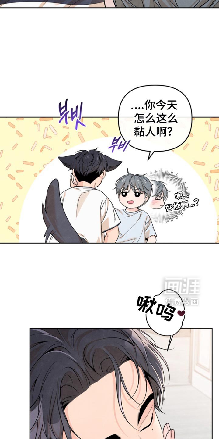 第53章：你给我的都喜欢