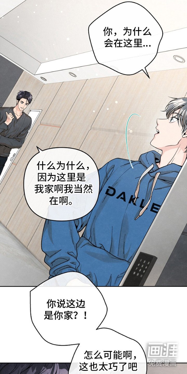 第7章：巧合