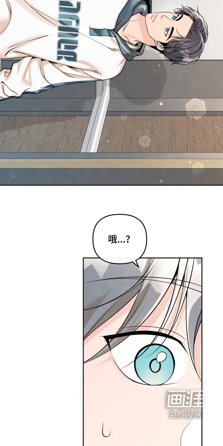 第84章：【第二季】怎么没去聚餐
