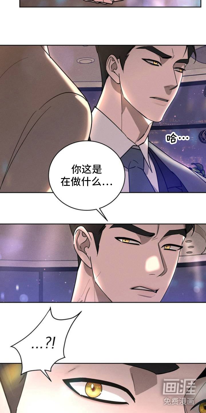 第3章：放手一搏