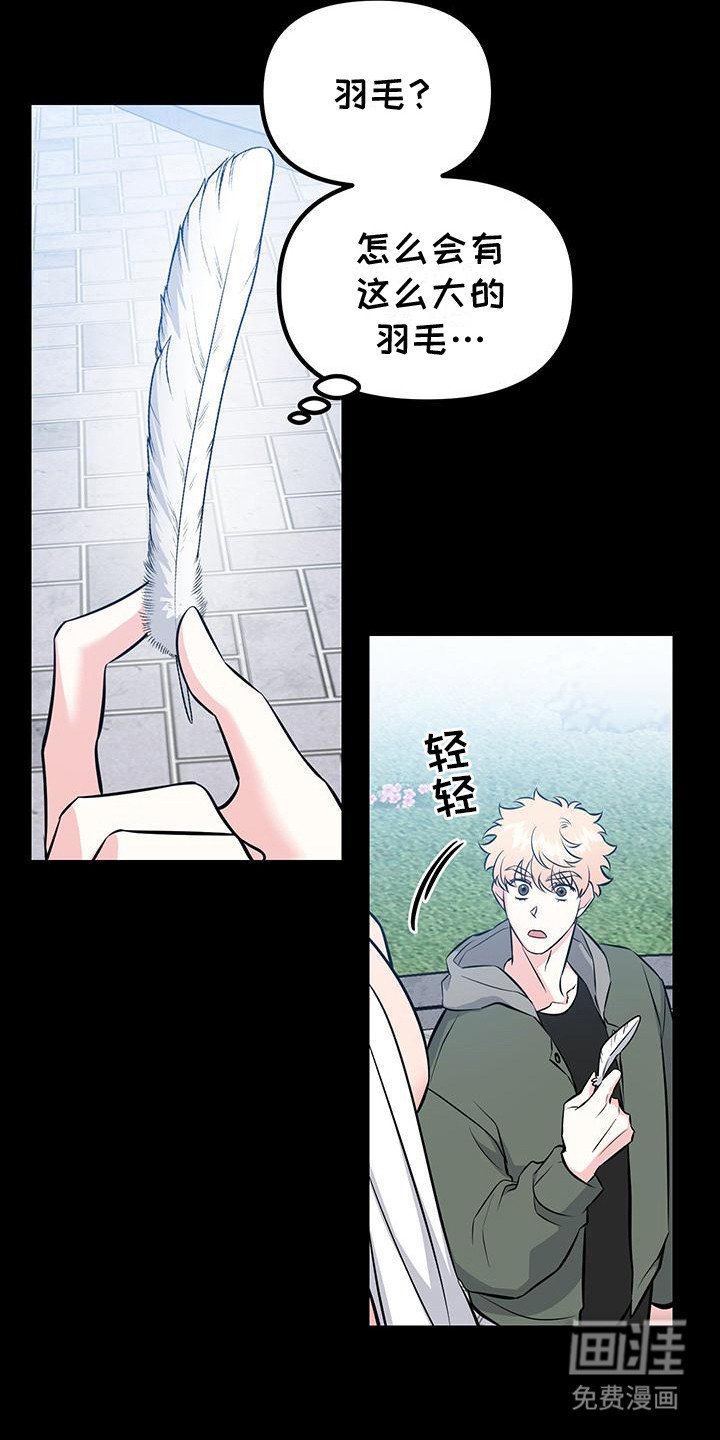 第12章：看得见