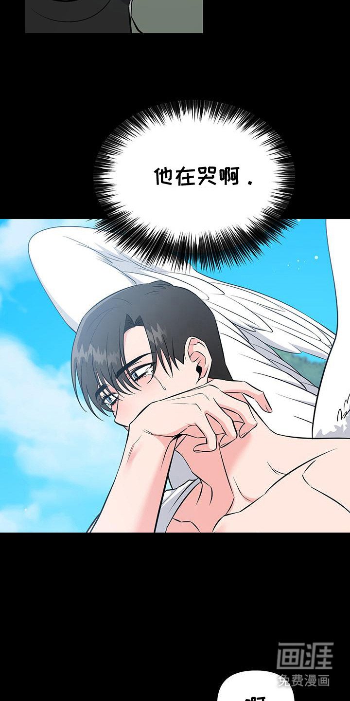 第12章：看得见