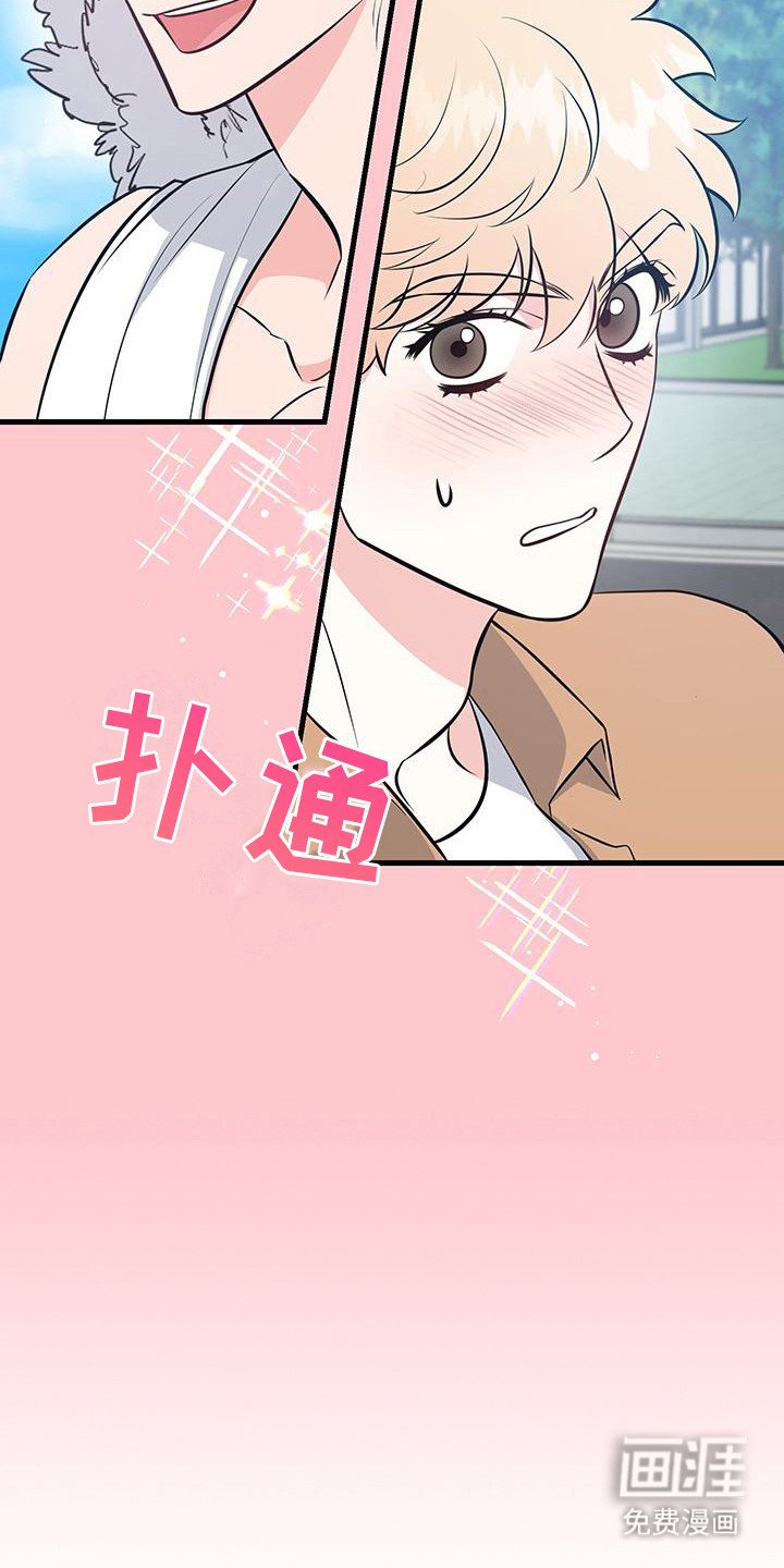 第13章：单相思