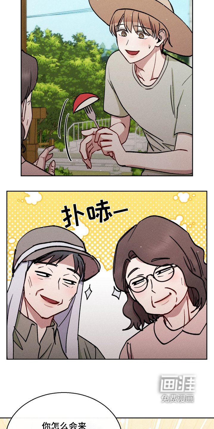 第100章：最好去看看