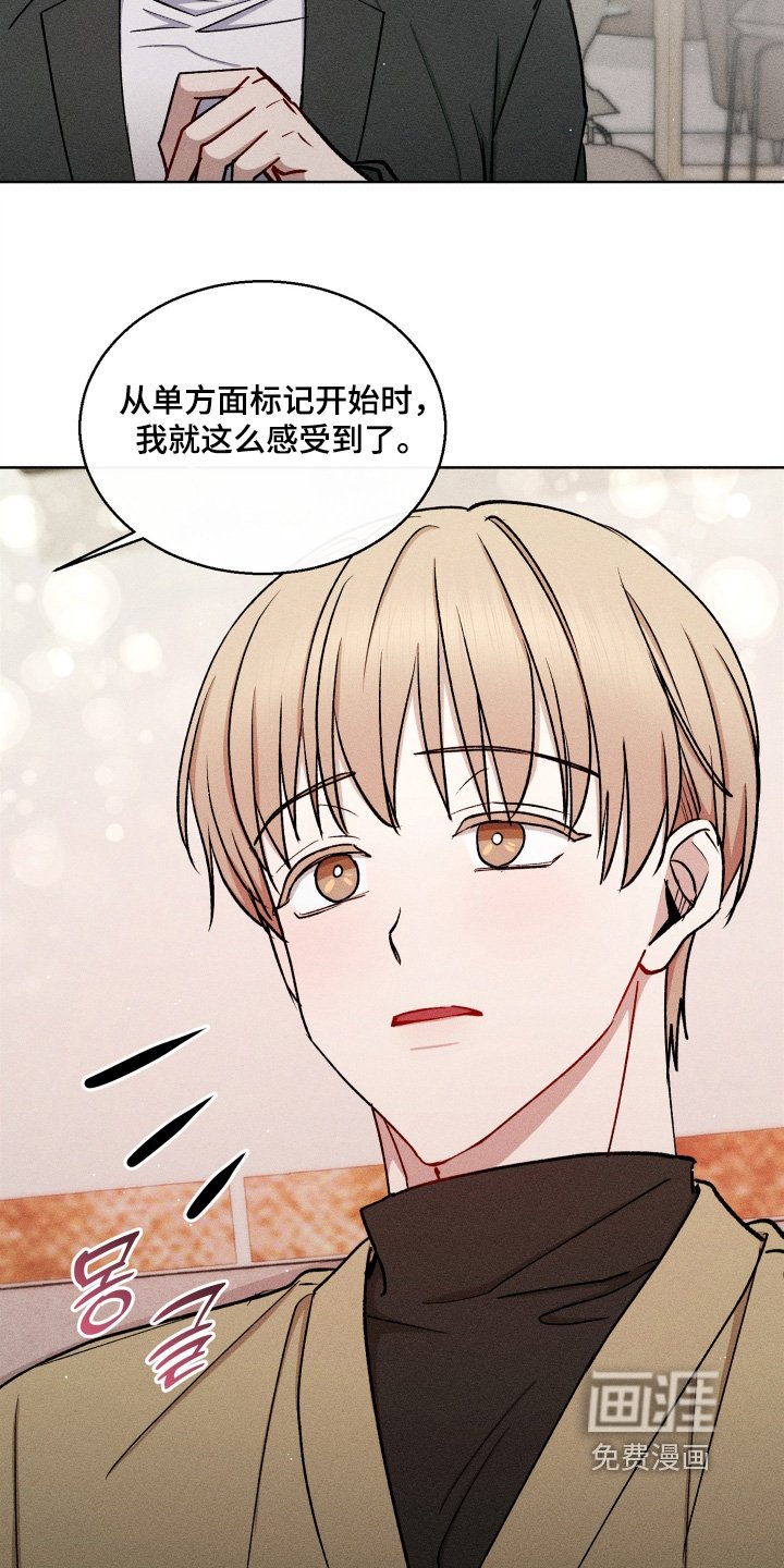 第132章：要结婚嘛