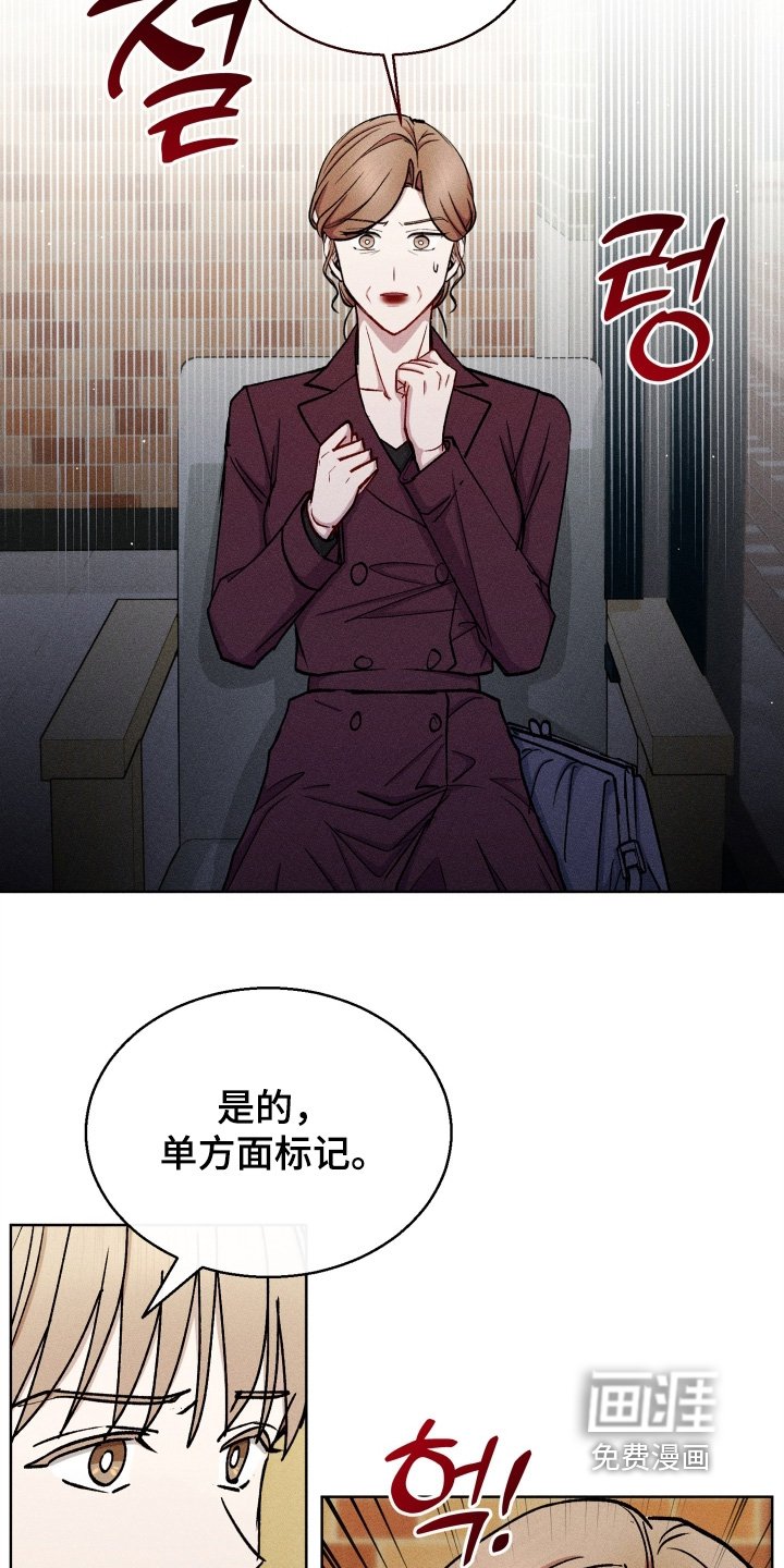 第139章：给过你机会