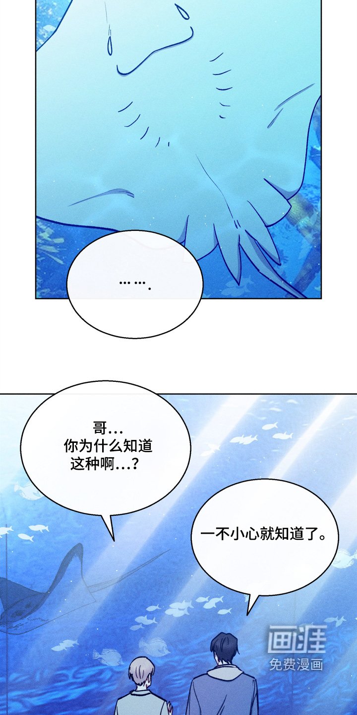 第141章：太高兴了
